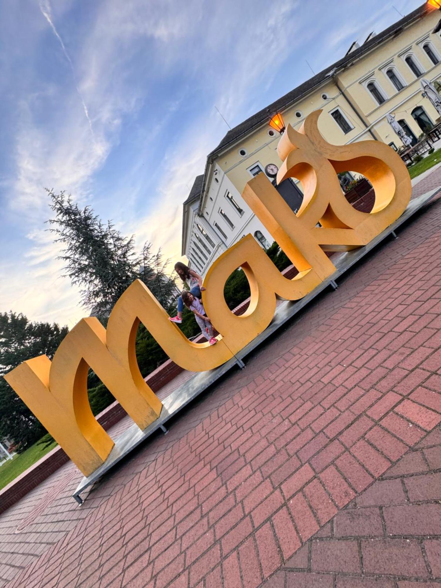 Отель Pensiunea Schwartzy Мако Экстерьер фото